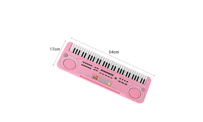 61 Keys Electronic Organ USB Digital Keyboard