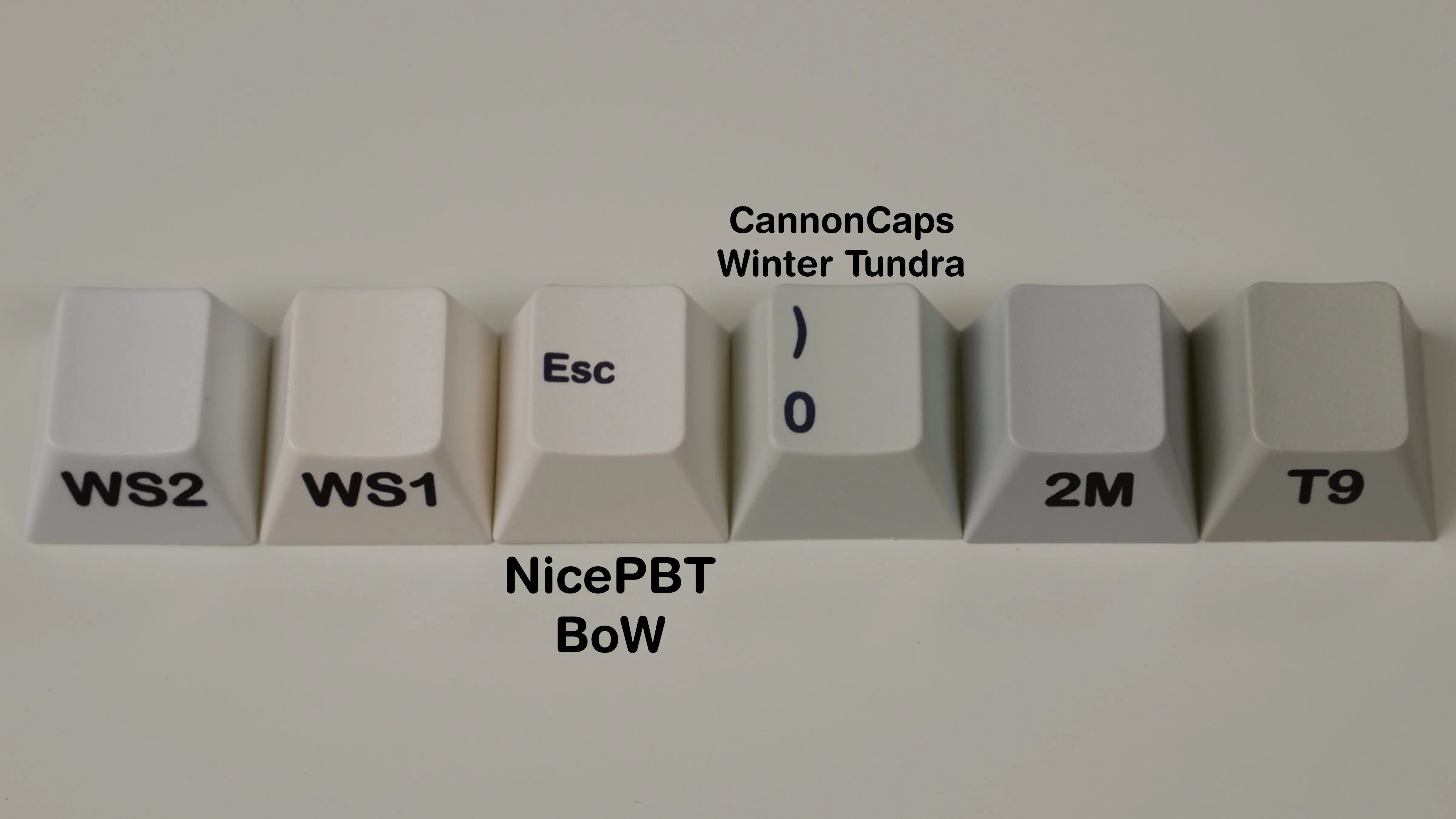 NicePBT V1 BoW