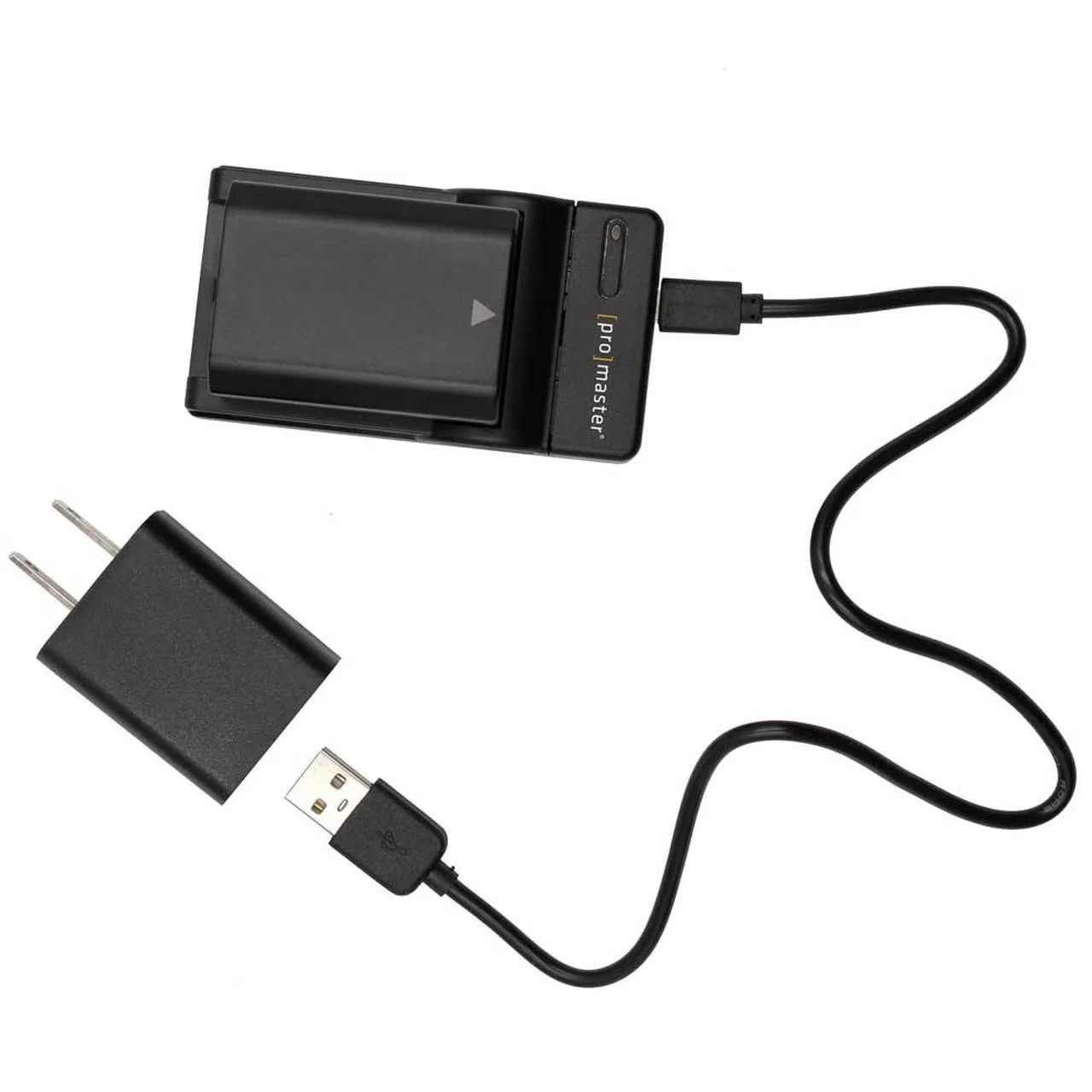 Promaster 1977 Sony NP-FZ100 Battery and Charger Combo (AC and USB)